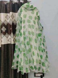 Elegant organza long frock