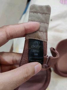 Zivame Push Up T-Shirt Bra-Nutmeg