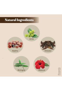 Shudh Online Herbal Hair Colour Powders