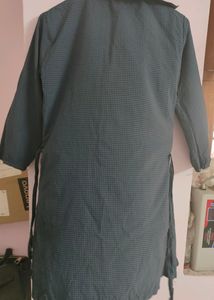 Long shirt Dress