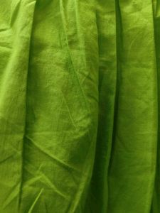 Green Button-Down Crop Top