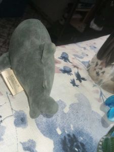 Cute Shark Plush Toy