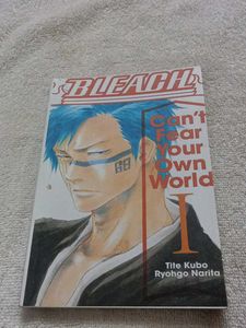 Bleach: Can't Fear Your Own World I