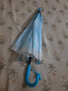 New umbrella