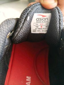 Men's Asian Trekking Shoes brand new