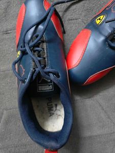 Puma Blue &amp; Red Lace-Up Sneakers