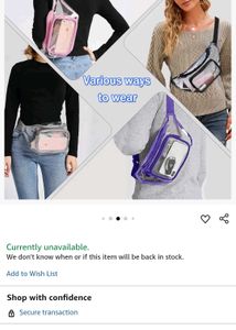 Iridescent Waist Bag Fanny Purce