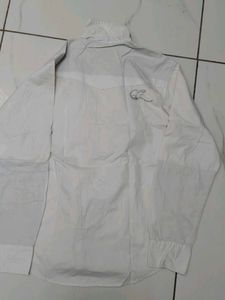 Mens White Shirt