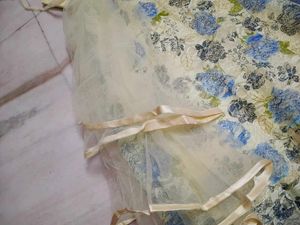 Beautiful Floral Ethnic Gown