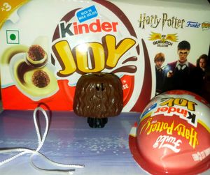 HARRY POTTER QUIDDITCH COLLECTION HERMIONE