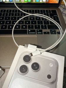 Apple USB-C to Lightning Cable