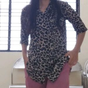 Animal Print Shirt Dress