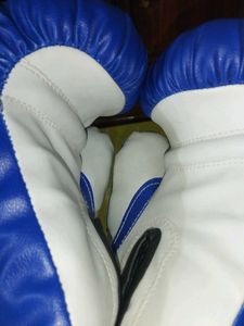 Boxing gloves, used 2 times , original gloves