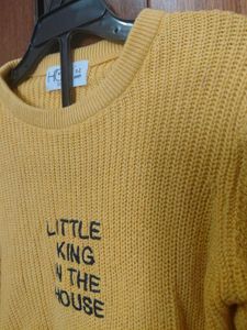 Cute Lion Print Sweater