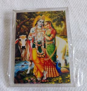 Radha Krishna Small Frame