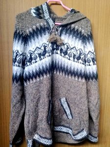 Unisex Wool Blend Hooded Sweater