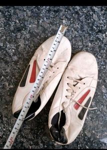 Sport Shoes