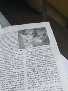 Indian Economic Development - Class XI Textbook