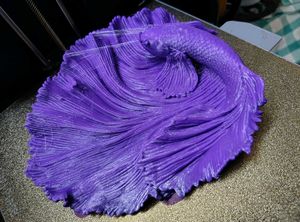 3D Printed Betta Fish Decor