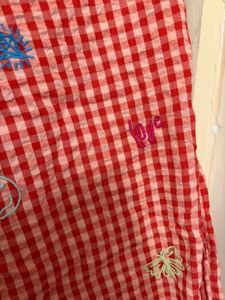 Red Gingham Embroidered Palazzo Pants