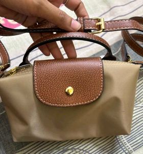 2 bags -LV and Longchamp inspired bag