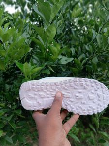 Xplore White &amp; Green Sneakers