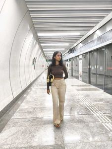 Brown Mesh Long Sleeve Crop Top