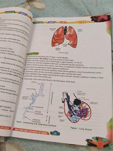 NEET Objective Zoology Books Vol 1 &amp; 2
