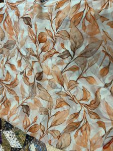 Elegant Orange Floral Print Saree and Blouse