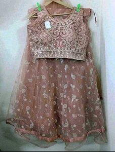 Embellished Lehenga Choli Set