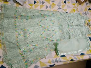 Stunning Mint Green Lehenga Choli