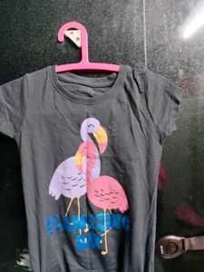Cute Flamingo T-Shirt &amp; Pants Set