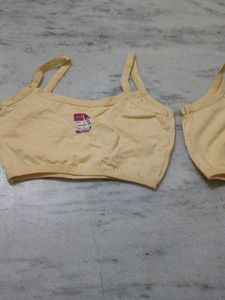 Comfortable Crop Top Style Bra (Pack of 2)