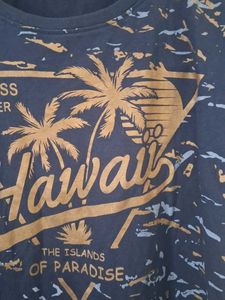 Men's Hawaii Graphic T-Shirt