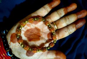 Panchmukhi Rudraksh Bracelet