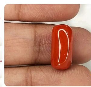 Moonga/ Red Coral Stone