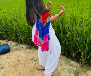 Vibrant Cotton silk kurta patiyala suit