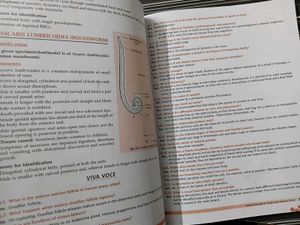New ISC Lab Skills in Biology Class XI and XII
