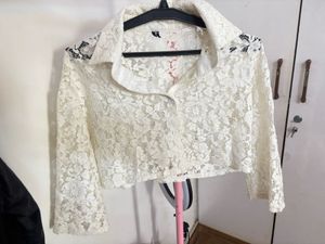 Sheer Lace Cropped top Blouse