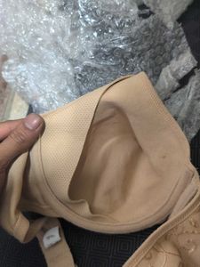Triumph Original Elegant Beige Embroidered Bra