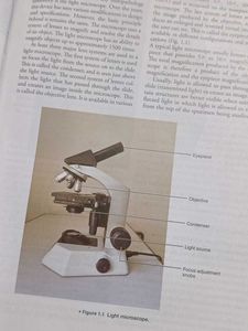 Atlas of Oral Histology
