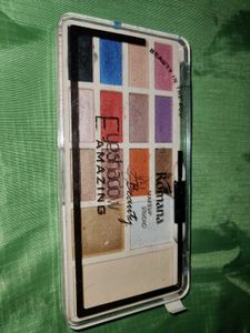 Lightly Used Eyeshadow Palette + Brush