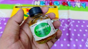 Camel Oil Color With Linseedoil