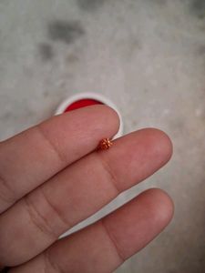 Dainty Gold star nosepin