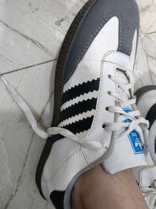 Adidas Sneakers - White/Grey