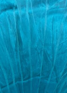 Stunning Teal Lehenga with Embellished Border