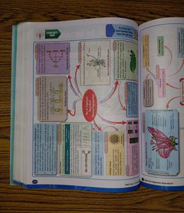 CBSE Class 10 Science Question Bank 2026