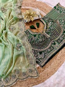 Elegant Pastel Green Embroidered Saree