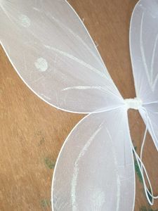 Enchanting White Fairy Wings