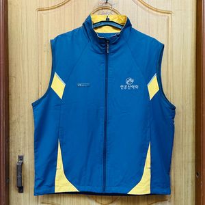 Men's gray & Yellow Vest
